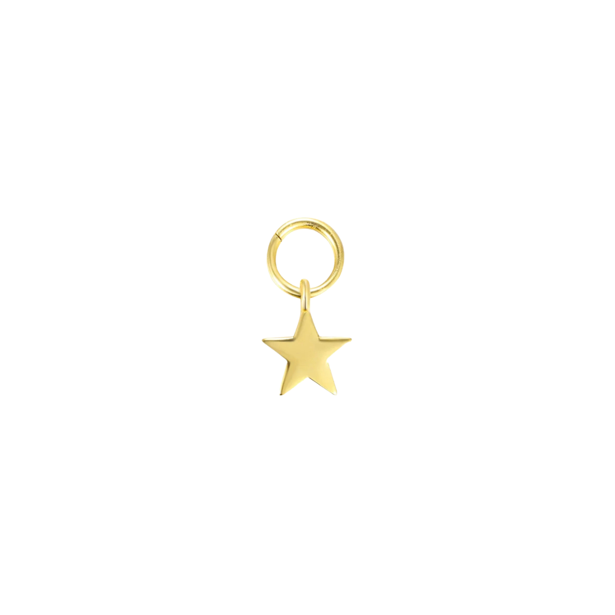 Lucky 18k Gold Plated  Charm