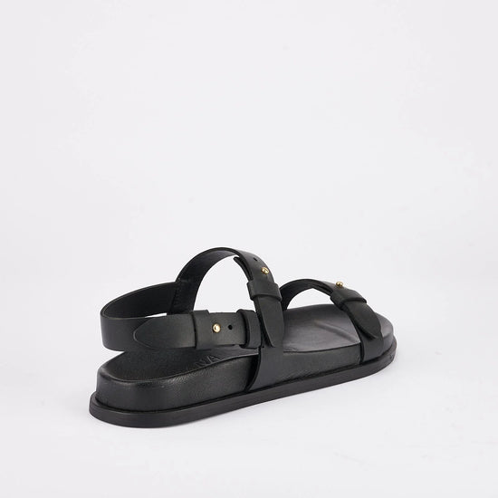 Tritan Footbed Black